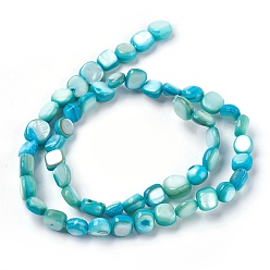 Бирюза Пресноводных оболочки бисер нитей, окрашенные, самородки, бирюзовые, 6~8x6~9x4~7 мм, отверстие : 0.5 мм, около 49~56 шт / нитка, 15.2~15.5 дюйм (38.5~39.5 см)