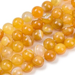 Желтый Натуральные полосатые агатовые / полосатые агатовые бусинки, окрашенные, круглые, желтые, 10 мм, отверстие : 1.2 мм, около 19 шт / нитка, 7.60'' (19.3 см)