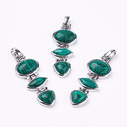 Малахит Синтетического малахита подвески, с латунной фурнитурой , платина, без свинца, без никеля и без кадмия, 69~70x22x8 мм, отверстие : 4.5x9 мм