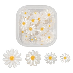 Mixed Color 20Pcs 4 Style Natural Freshwater Shell Beads, with Enamel, Flower, Mixed Color, 6~8x3~4.5mm, Hole: 0.8~0.9mm