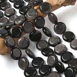Silver Sheen Obsidian Натуральный серебристый блеск нитей обсидиана, плоско-круглые, 15~15.5x6 мм, отверстие : 0.8~1 мм, около 26 шт / нитка, 15.55~15.71 дюйм (39.5~39.9 см)