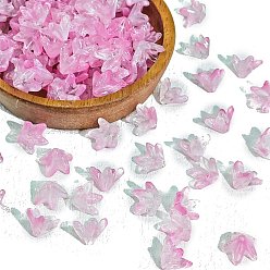 Бледно-Розовый Прозрачные колпачки для бусин в стиле лэмпворк, цветок, розовый жемчуг, 12x10 мм