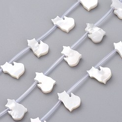 White Shell Natural White Shell Mother of Pearl Shell Beads, Top Drilled Beads, Cat Shape, 11.5x8x2mm, Hole: 0.5mm