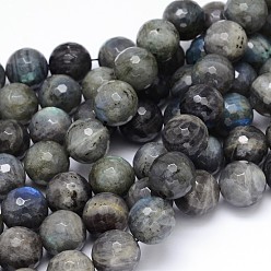 Labradorite Natural Labradorite Round Bead Strands, Faceted, 18mm, Hole: 1mm, about 22pcs/strand, 16 inch