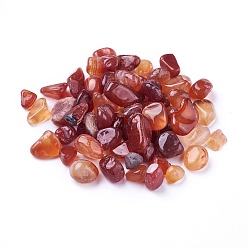 Красный Агат Природные сердолика бусы, неразрушенное / без отверстия, окрашенные, чипсы, 5~19x4~10x2~7 мм, о 100 г / мешок