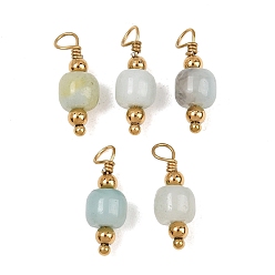 Flower Amazonite Природных драгоценных камней подвески, с 304 фурнитурой из нержавеющей стали, очарование бочки, ионное покрытие (ip), реальный 18 k позолоченный, 16.5~17x6~6.5 мм, отверстие : 3 мм