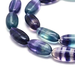Fluorite Natural Fluorite Beads Strands, Oval, 20x10x7mm, Hole: 1mm, about 20pcs/strand, 15.7 inch(40cm)