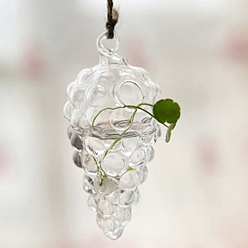 Винограды Подвесные стеклянные горшки для растений, Прозрачная гидропонная стеклянная ваза для украшения дома в саду, винограды, 120x60 мм