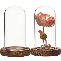 Коричневый Стеклянный купол, декоративная витрина, колокол баночка террариум с деревянной основой, для подарка своими руками сохраненного цветка, кофе, 82x133 мм, 2 шт / коробка