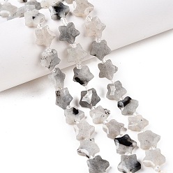 Лабрадорита Бусы из натурального серого лабрадорита, с бисером, звезда, граненые, 9~11x9~11x4~4.5 мм, отверстие : 1 мм, около 16 шт / нитка, 0.7~7.28'' (17.5~18.5 см), бусины : 3 мм диаметром, толщиной 2 мм , отверстие : 0.7~0.9 мм