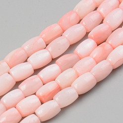 Pink Natural Freshwater Shell Beads Strand, Dyed, Barrel, Pink, 6.5x5mm, Hole: 0.8mm, about 58~60pcs/strand, 15.43 inch~15.94 inch(39.2cm~40.5)