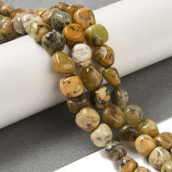 Мосс Агат Природные желтые мох агат бисер пряди, самородки, упавший камень, 7~15x6~10x5.5~8 мм, отверстие : 1 мм, около 47~49 шт / нитка, 15.55~15.94'' (39.5~40.5 см)