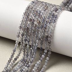 Айолит Натуральные кордиерит / иолит / дихроитовые бусины, граненые, круглые, 3 мм, отверстие : 0.5 мм, около 39 шт / нитка, 14.96"~15.35" (38~39 см)