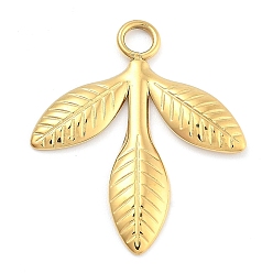 Настоящее золото 14K Ионное покрытие (ip) 304 подвески из нержавеющей стали, лист, реальный 14 k позолоченный, 22.5x19x1.5 мм, отверстие : 2.5 мм