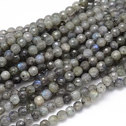 Labradorite Labradorite naturelle rangées de perles rondes, facette, 6mm, Trou: 1mm, Environ 74 pcs/chapelet, 16 pouce