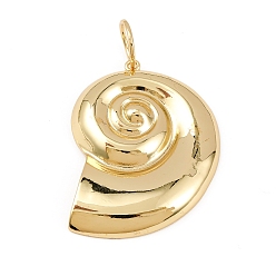 Настоящее золото 18K Латунные подвески, формы раковины, стойки покрытие, долговечный, без свинца и без кадмия, с целью перехода в кольце, реальный 18 k позолоченный, 47x39x4 мм, отверстие : 10 мм