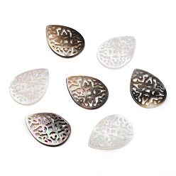 Разные Ракушки Подвески в форме капли из полых натуральных ракушек, 23x17x1.5 мм, отверстие : 1 мм