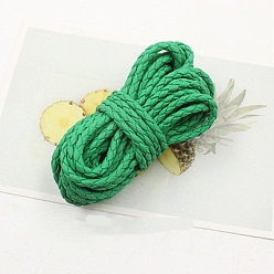 Морско-зеленый Плетеные шнуры из искусственной кожи, круглые, цвета морской волны, 4 мм, около 2.19 ярдов (2 м) / пачка