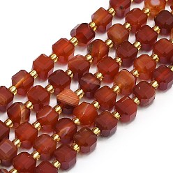 Red Agate Натуральный красный агат прядь, граненые, кубические, 6.5~7.5x6.5~7.5x6.5~7.5 мм, отверстие : 1.2 мм, около 43~44 шт / нитка, 15.35''~15.55'' (39~39.5 см)