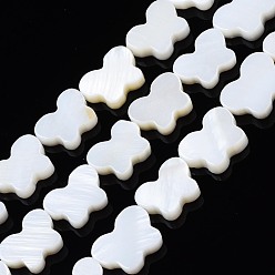Seashell Color Natural Freshwater Shell Beads Strands, Butterfly, Seashell Color, 8~9x11~12x2.5~3.5mm, Hole: 0.8mm, about 37~39pcs/strand, 14.57 inch~15.35 inch(37cm~39cm)