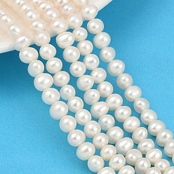 Морская Ракушка Нити натуральных культивированных жемчужин, картофель, класс 6а+, цвет морской раковины, 5.5~6 мм, отверстие : 0.8 мм, около 65~66 шт / нитка, 14.61~14.76 дюйм (37.1~37.5 см)