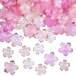 Pink 100шт 4 стили прозрачные акриловые колпачки для бусин, с золотым краем, цветок, розовые, 18~23.5x19~23.5 мм, отверстие : 1.4~1.5 мм, 254 шт / стиль