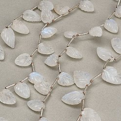 Rainbow Moonstone Natural Rainbow Moonstone Carved Beads Strands, Leaf, Top Drilled, with Tassel, 11~13x8~10x4~5.5mm, Hole: 0.3mm, about 15~19pcs/strand, 12.60''(32cm)