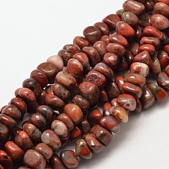Ágata Roja Hilos de cuentas de chips de cornalina teñidos, 7~9x7~9 mm, agujero: 1 mm, sobre 72~83 unidades / cadena, 15.7 pulgada