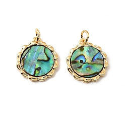 Настоящее золото 18K Подвески из натуральных ракушек пауа, с латунными оправами и соединительными кольцами, реальный 18 k позолоченный, 17.5x15x2 мм, отверстие : 3 мм