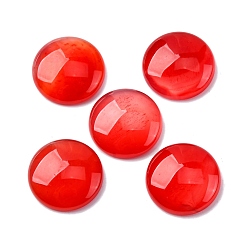 Красный Природные кабошон агата, окрашенная и подогревом, полукруглые / купольные, красные, 20x5.8 мм