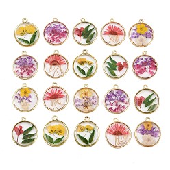 Плоский Круглый Подвески из эпоксидной смолы, внутренние подвески из сушеных цветов, золотые, разноцветные, плоско-круглые, 22x19x4 мм, отверстие : 1.5 мм