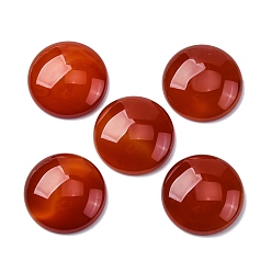 Темно-Красный Природные кабошон агата, окрашенная и подогревом, полукруглые / купольные, темно-красный, 30x8~8.5 мм