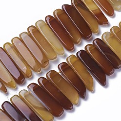 Dark Goldenrod Dyed Natural Agate Beads Strands, Tusk Shape, Dark Goldenrod, 16.5~39x7.5~9.5x5.5~6.5mm, Hole: 1.5mm, about 38~40pcs/strand, 14.8~15.3 inch(37.5~39cm)