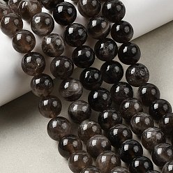 Дымчатый Кварц Природный дымчатый кварц нитей бисера, круглые, класса AB, 10~10.5 мм, отверстие : 1 мм, около 38~40 шт / нитка, 14.92~15.16'' (37.9~38.5 см)