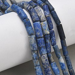 Ляпис-Лазурь Нитки бусины из натурального ляписа-лазури, колонка, 7~13x4.5~6 мм, отверстие : 0.7~0.9 мм, около 37~38 шт / нитка, 16.22~16.54''' (41.2~42 см)