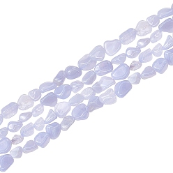 Blue Lace Agate Natural Blue Lace Agate Beads Strands, Tumbled Stone, Dyed, Nuggets, 5~11x5~8x3~6mm, Hole: 0.8mm, about 52~56pcs/Strand