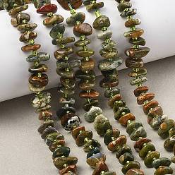 Яшма Риолит Природные риолитом яшмы бисер нитей, чип, с бисером, 6~15x7~10x2~6 мм, отверстие : 1 мм, около 70~79 шт / нитка, 15.75~16.42'' (40~41.7 см)