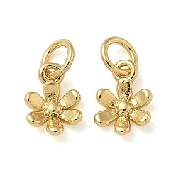 Настоящее золото 18K Стойки обшивки латунные подвески, долговечный, без свинца и без кадмия, , с целью перехода в кольце, реальный 18 k позолоченный, 8.5x6.5x2 мм, отверстие : 3 мм