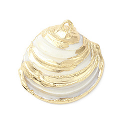 Other Sea Shell Natural Sea Shell Pendants, Shell Shape Charms, with Light Gold Tone Brass Findings, 17.5~26x16.5~26x4~7.5mm, Hole: 1.4~1.8mm