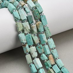 Peruvian Turquoise(Jasper) Бусы натуральная перуанская бирюза (яшма), колонка, граненые, с бисером, 9~10x4.5~5.5x4.5~5.5 мм, отверстие : 1.1 мм, около 36 шт / нитка, 15.94'' (40.5 см)