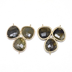 Labradorite Natural Labradorite Chandelier Component Links, 3 Loop Connectors, with Brass Findings, Faceted, Golden, 38~38.5x35x4mm, Hole: 1.2mm