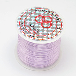 Лиловый Плоская эластичная кристаллическая струна, эластичная нить для бисера, для изготовления эластичного браслета, сирень, 0.8 мм, около 54.68 ярдов (50 м) / рулон