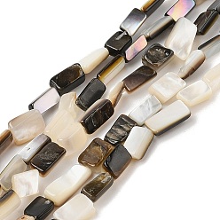 черная губная раковина Натуральный черный оболочки губ бисер нитей, прямоугольные, 5~13x3~7x2~5 мм, отверстие : 0.6 мм, около 47 шт / нитка, 14.96'' (38 см)