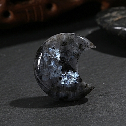 Larvikite Натуральный массажер из пальмового камня ларвикит, Камень беспокойства для терапии беспокойства, луна, 30x25x8 мм