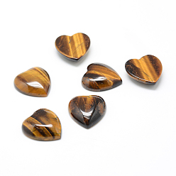 Tiger Eye Natural Tiger Eye Cabochons, Heart, 25x23x7.5mm