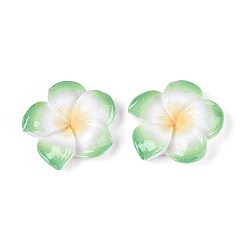 Зеленый лайм Кабошоны из непрозрачной смолы в виде цветка плюмерии, зеленый лайм, 29~30x29~30x7~8 мм
