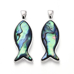 Аквамарин Подвески из сплава и окрашенных натуральных раковин морского ушка, рыбы прелести, платина, аквамарин, 42.5~43x14.5~15x4.5~5 мм, отверстие : 6x3.5 мм