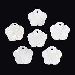 Морская Ракушка Резные подвески из натуральных пресноводных ракушек, , цвет морской раковины, 18x18x2 мм, отверстие : 1.8 мм
