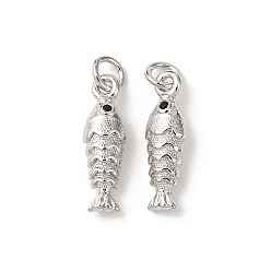 Платина Латунные микро проложить кубического циркония подвески, рыбы прелести, без кадмия и без свинца, стойки покрытие, долговечный, с целью перехода в кольце, платина, 14.5x4.5x3.5 мм, отверстие : 2.3 мм