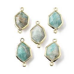Амазонит Подвески-коннекторы из натурального амазонита с граненой отделкой, латунные шестигранные звенья, золотые, стойки покрытие, 25x13x6.5 мм, отверстие : 1.6 мм